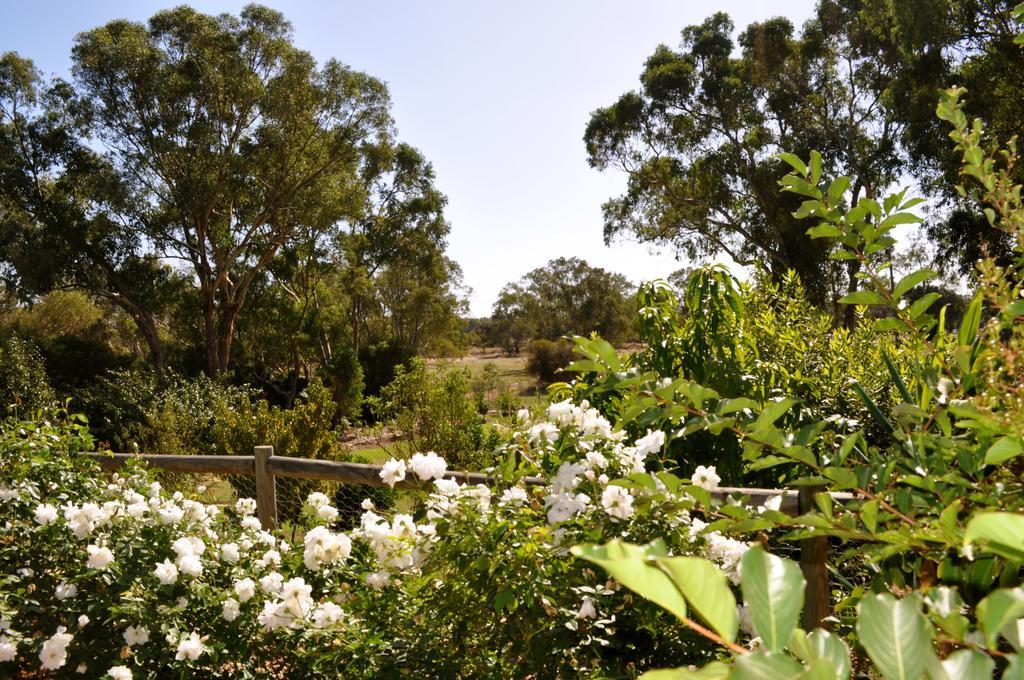 Guildford River Retreat Perth Zewnętrze zdjęcie